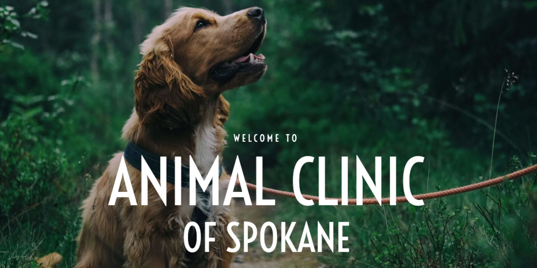Animal Clinic of Spokane
